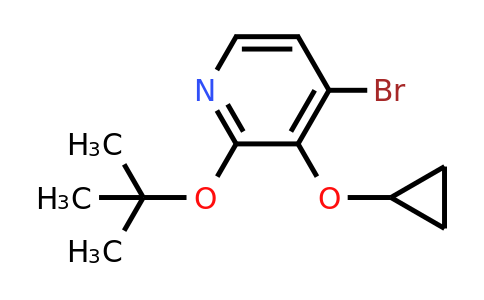 CAS 1243441-75-9 | 4-Bromo-2-tert-butoxy-3-cyclopropoxypyridine