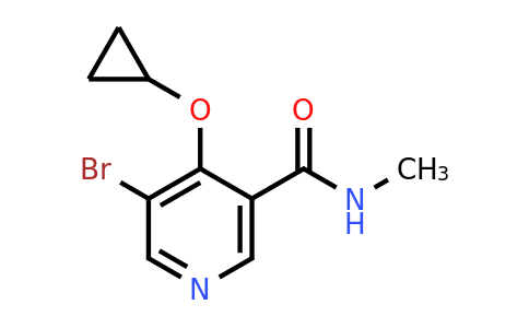 CAS 1243441-86-2 | 5-Bromo-4-cyclopropoxy-N-methylnicotinamide
