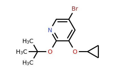 CAS 1243441-92-0 | 5-Bromo-2-tert-butoxy-3-cyclopropoxypyridine