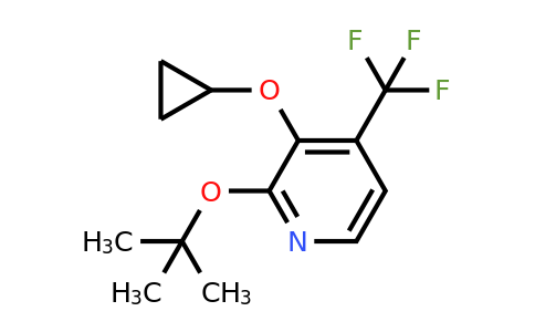 CAS 1243441-98-6 | 2-Tert-butoxy-3-cyclopropoxy-4-(trifluoromethyl)pyridine