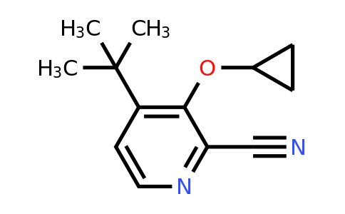 CAS 1243442-61-6 | 4-Tert-butyl-3-cyclopropoxypicolinonitrile