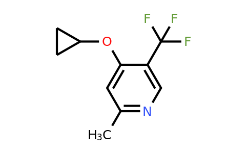 CAS 1243442-78-5 | 4-Cyclopropoxy-2-methyl-5-(trifluoromethyl)pyridine