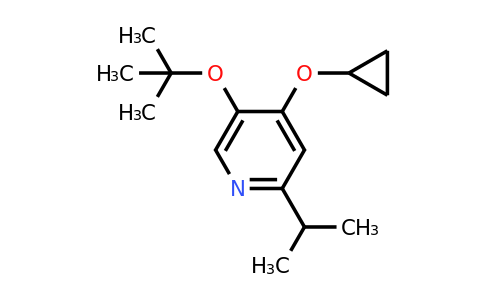 CAS 1243442-86-5 | 5-Tert-butoxy-4-cyclopropoxy-2-isopropylpyridine