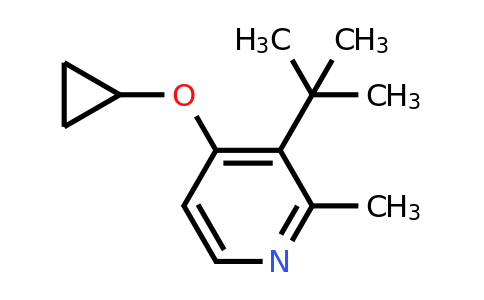CAS 1243443-17-5 | 3-Tert-butyl-4-cyclopropoxy-2-methylpyridine