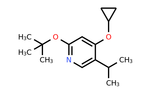 CAS 1243444-20-3 | 2-Tert-butoxy-4-cyclopropoxy-5-isopropylpyridine