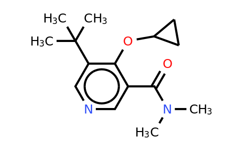 CAS 1243444-36-1 | 5-Tert-butyl-4-cyclopropoxy-N,n-dimethylnicotinamide