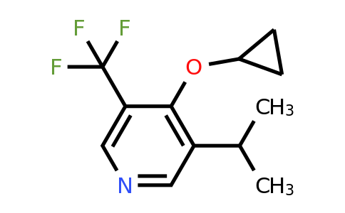 CAS 1243444-46-3 | 4-Cyclopropoxy-3-isopropyl-5-(trifluoromethyl)pyridine