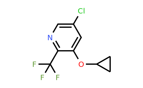 CAS 1243445-34-2 | 5-Chloro-3-cyclopropoxy-2-(trifluoromethyl)pyridine