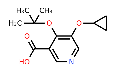 CAS 1243445-57-9 | 4-Tert-butoxy-5-cyclopropoxynicotinic acid