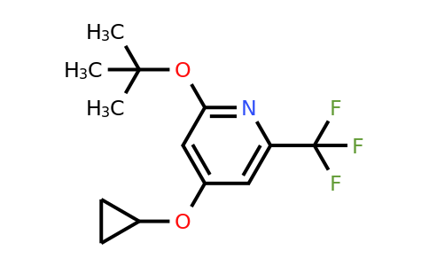 CAS 1243445-80-8 | 2-Tert-butoxy-4-cyclopropoxy-6-(trifluoromethyl)pyridine