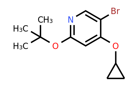 CAS 1243446-24-3 | 5-Bromo-2-tert-butoxy-4-cyclopropoxypyridine