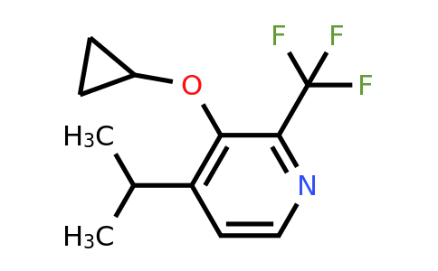 CAS 1243446-77-6 | 3-Cyclopropoxy-4-isopropyl-2-(trifluoromethyl)pyridine