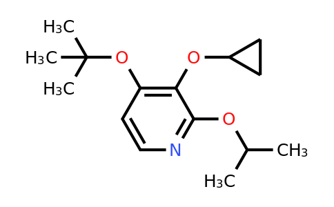 CAS 1243448-02-3 | 4-Tert-butoxy-3-cyclopropoxy-2-isopropoxypyridine