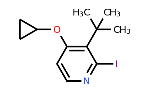 CAS 1243448-03-4 | 3-Tert-butyl-4-cyclopropoxy-2-iodopyridine