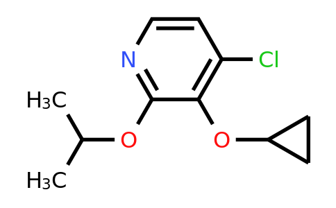CAS 1243448-13-6 | 4-Chloro-3-cyclopropoxy-2-isopropoxypyridine