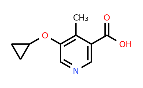 CAS 1243448-19-2 | 5-Cyclopropoxy-4-methylnicotinic acid