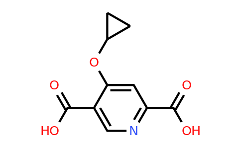 CAS 1243448-27-2 | 4-Cyclopropoxypyridine-2,5-dicarboxylic acid