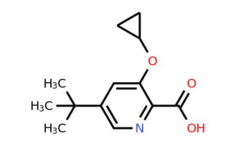 CAS 1243448-29-4 | 5-Tert-butyl-3-cyclopropoxypicolinic acid