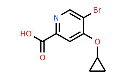 CAS 1243448-35-2 | 5-Bromo-4-cyclopropoxypicolinic acid