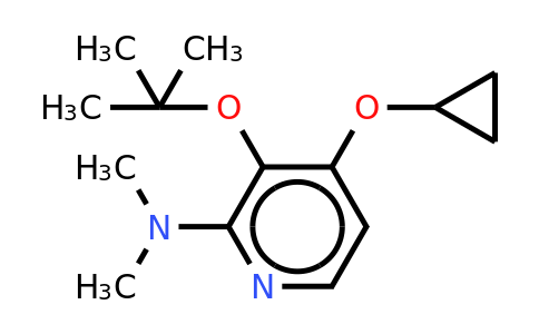 CAS 1243448-59-0 | 3-Tert-butoxy-4-cyclopropoxy-N,n-dimethylpyridin-2-amine
