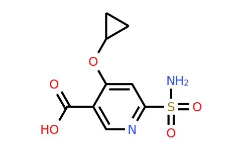 CAS 1243449-93-5 | 4-Cyclopropoxy-6-sulfamoylnicotinic acid