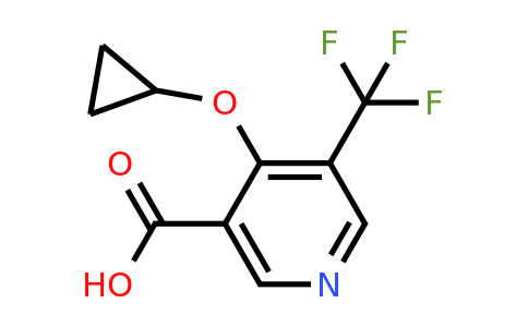 CAS 1243450-02-3 | 4-Cyclopropoxy-5-(trifluoromethyl)nicotinic acid