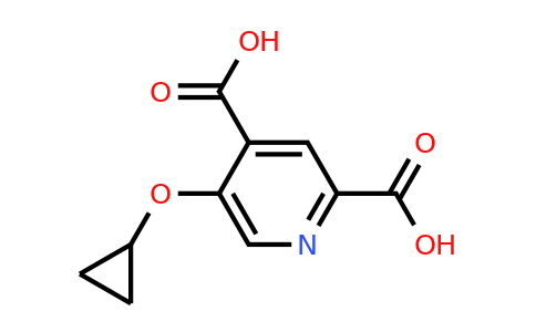 CAS 1243450-08-9 | 5-Cyclopropoxypyridine-2,4-dicarboxylic acid