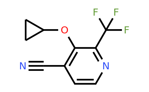 CAS 1243450-64-7 | 3-Cyclopropoxy-2-(trifluoromethyl)isonicotinonitrile