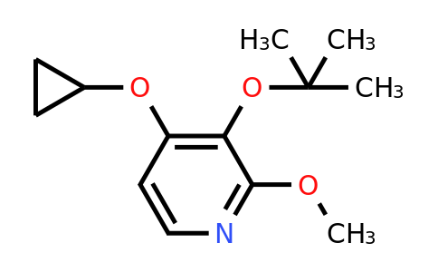 CAS 1243450-72-7 | 3-Tert-butoxy-4-cyclopropoxy-2-methoxypyridine