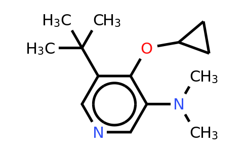 CAS 1243451-15-1 | 5-Tert-butyl-4-cyclopropoxy-N,n-dimethylpyridin-3-amine