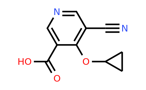 CAS 1243451-35-5 | 5-Cyano-4-cyclopropoxynicotinic acid