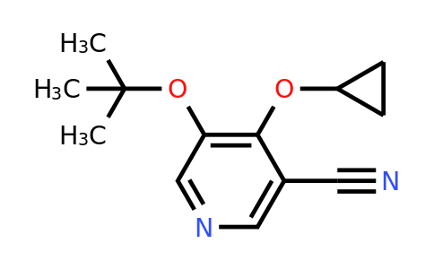 CAS 1243451-48-0 | 5-Tert-butoxy-4-cyclopropoxynicotinonitrile