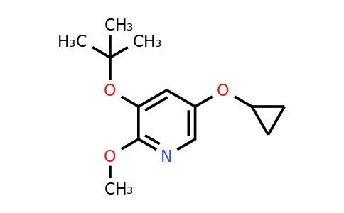 CAS 1243451-67-3 | 3-Tert-butoxy-5-cyclopropoxy-2-methoxypyridine