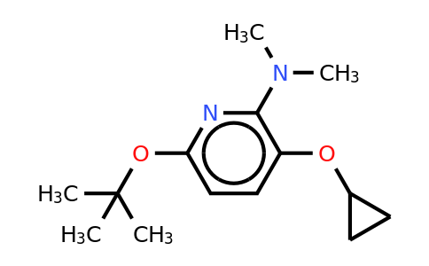 CAS 1243451-73-1 | 6-Tert-butoxy-3-cyclopropoxy-N,n-dimethylpyridin-2-amine