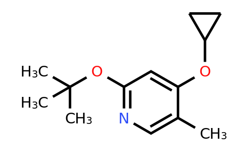 CAS 1243451-94-6 | 2-Tert-butoxy-4-cyclopropoxy-5-methylpyridine