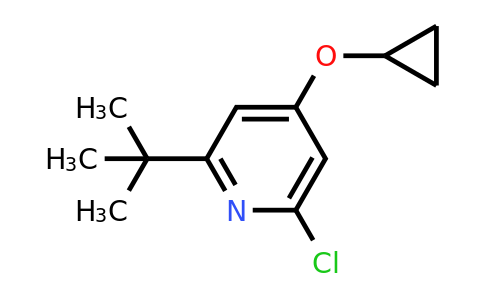 CAS 1243452-99-4 | 2-Tert-butyl-6-chloro-4-cyclopropoxypyridine