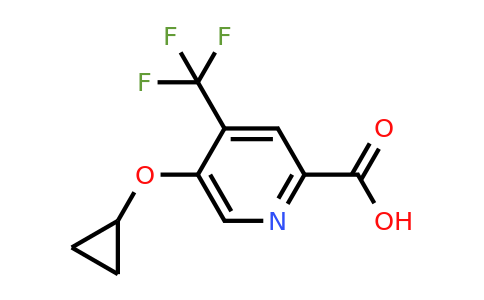 CAS 1243454-41-2 | 5-Cyclopropoxy-4-(trifluoromethyl)picolinic acid
