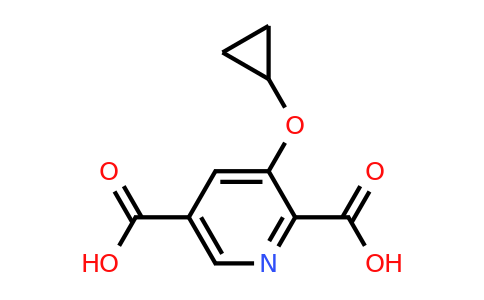 CAS 1243455-25-5 | 3-Cyclopropoxypyridine-2,5-dicarboxylic acid