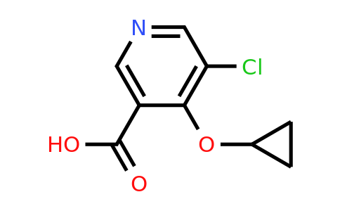 CAS 1243455-51-7 | 5-Chloro-4-cyclopropoxynicotinic acid