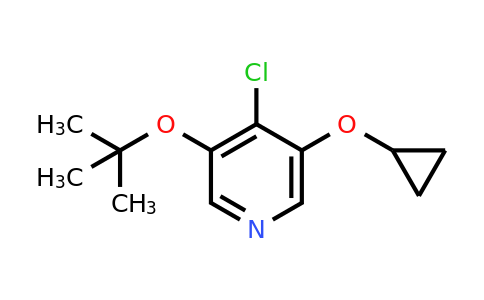 CAS 1243455-70-0 | 3-Tert-butoxy-4-chloro-5-cyclopropoxypyridine