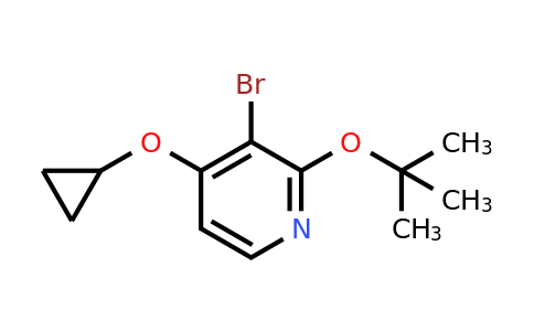 CAS 1243456-10-1 | 3-Bromo-2-tert-butoxy-4-cyclopropoxypyridine