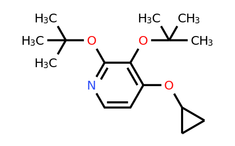 CAS 1243459-62-2 | 2,3-DI-Tert-butoxy-4-cyclopropoxypyridine