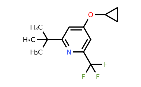 CAS 1243459-73-5 | 2-Tert-butyl-4-cyclopropoxy-6-(trifluoromethyl)pyridine