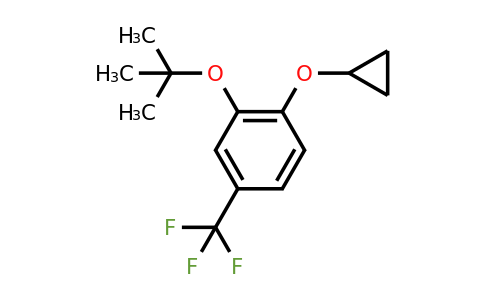 CAS 1243459-88-2 | 2-Tert-butoxy-1-cyclopropoxy-4-(trifluoromethyl)benzene