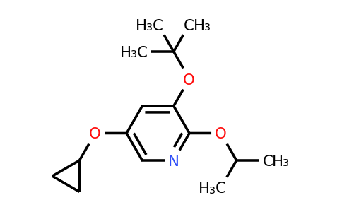 CAS 1243460-30-1 | 3-Tert-butoxy-5-cyclopropoxy-2-isopropoxypyridine