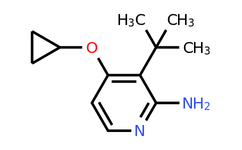 CAS 1243461-08-6 | 3-Tert-butyl-4-cyclopropoxypyridin-2-amine