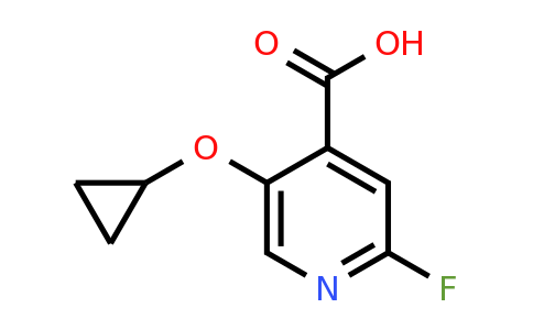 CAS 1243461-13-3 | 5-Cyclopropoxy-2-fluoroisonicotinic acid