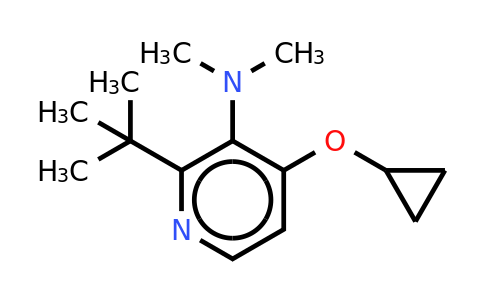 CAS 1243461-52-0 | 2-Tert-butyl-4-cyclopropoxy-N,n-dimethylpyridin-3-amine