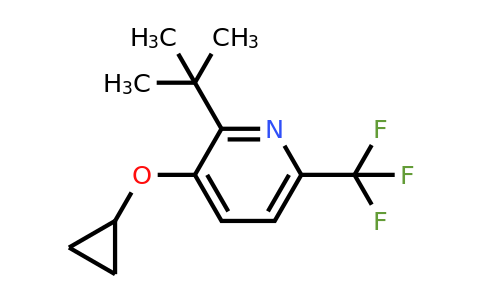 CAS 1243461-70-2 | 2-Tert-butyl-3-cyclopropoxy-6-(trifluoromethyl)pyridine
