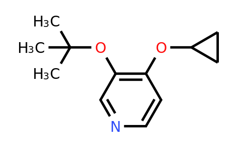 CAS 1243463-33-3 | 3-Tert-butoxy-4-cyclopropoxypyridine
